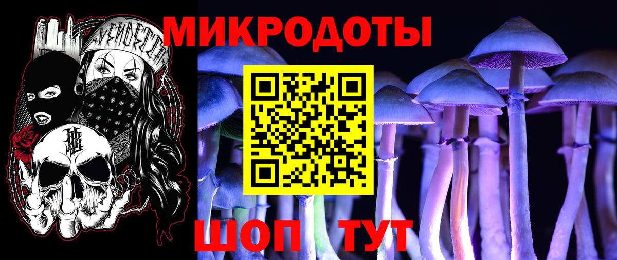 Псилоцибиновые грибы Cubensis Черкесск